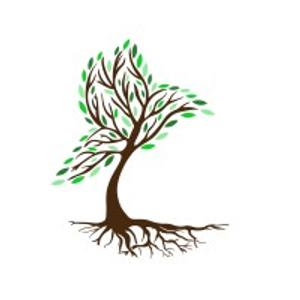 Roots and Wings Therapeutic Services LLC