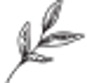 LxF Studios - Logo