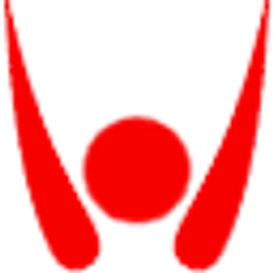 Well Traveled Soles - Logo