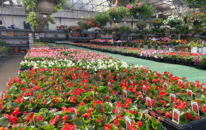 Meder's Garden Center