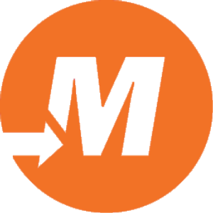 National Fleet Management, Inc. - Logo