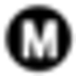 Monterrey Tire Center Inc - Logo