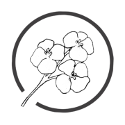 Mustard Seed Boutique - Logo