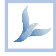 Rising Above Divorce
