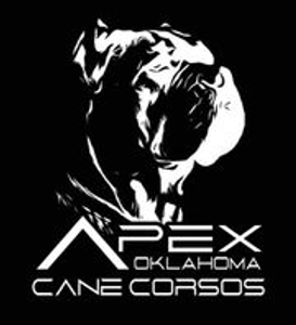 Oklahoma Cane Corsos