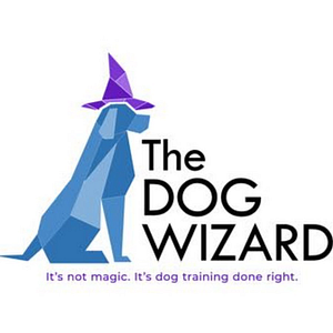 The Dog Wizard St. Louis