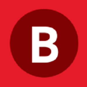 Bert's Paint Inc