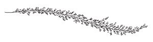 Flowers Annette Gomez - Logo
