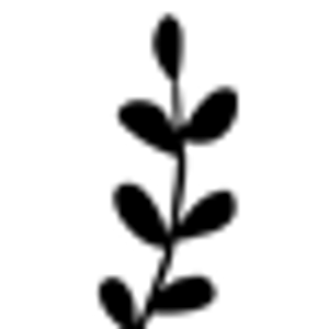 Tap and Vine Stonecrest - Logo