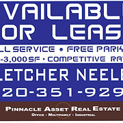 Pinnacle Asset Real Estate - Logo