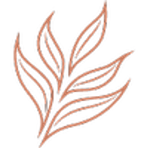 Stormie Skin & Wellness
