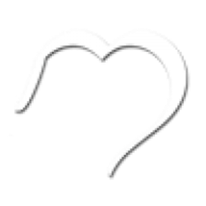 Dancing Deer Mountain, LLC - Logo