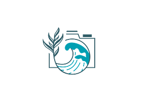 Maybury Media - Logo
