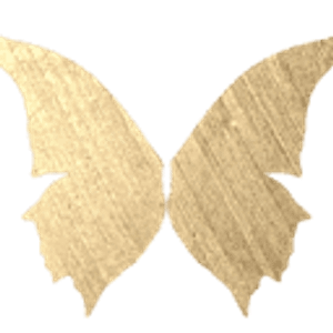 Enchanted Fairies of Raleigh, NC - Logo