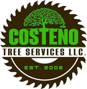 Costeno Tree Services