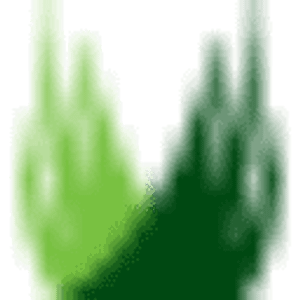 SYNLawn Mountain West Montana - Logo