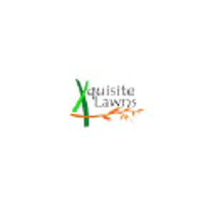 Xquisite Irrigation and Landscaping - Logo