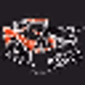 Morris Bobcat Services LLC - Logo