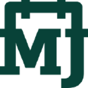 MJ Plumbing Pros