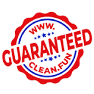 Clean Fun Party Rentals - Logo