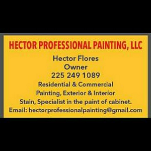 HECTOR PROFESSIONAL PAINTING LLC - Logo