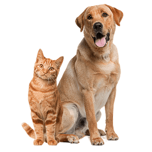 Pets R Us Vet - Logo