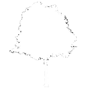 Discount Trees - Logo