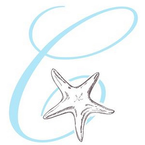 Ashley Pierce Broker @The Cameron Team - Logo