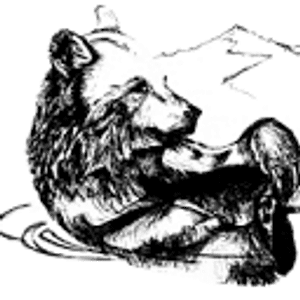 Bare Necessities Floating and Massage - Logo