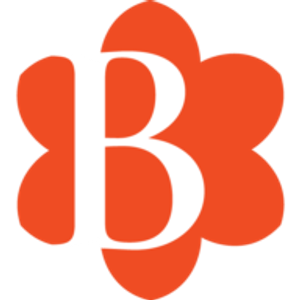 Blossom Aesthetics & SkinCare - Logo