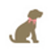 Adorable Grooms- by appointment only