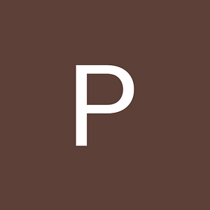 PARA Aesthetics - Logo