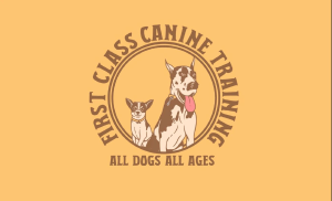 First Class Canine Training