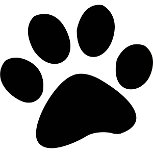 CLOUD K9 NYC - Logo