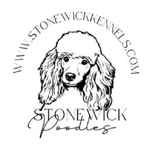Stonewick Poodles - AKC Standard, Miniature, Toy Poodles