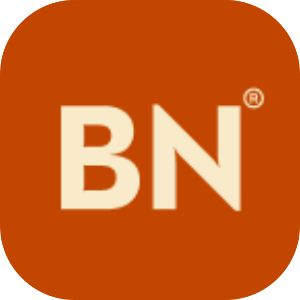 Brite Nites | Holiday & Outdoor Lighting - Logo