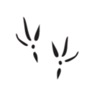 The Blu Grouse - Logo
