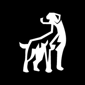 Big Dog Solar - Logo
