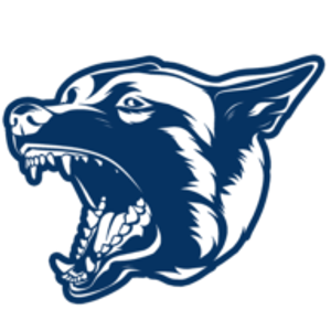 Lone Star State K9 LLC - Logo