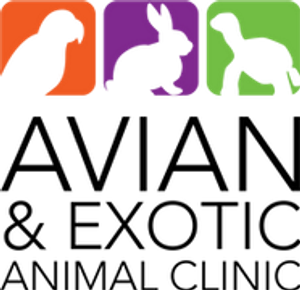 Avian & Exotic Animal Clinic