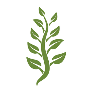 Essential Health Natural Foods Market