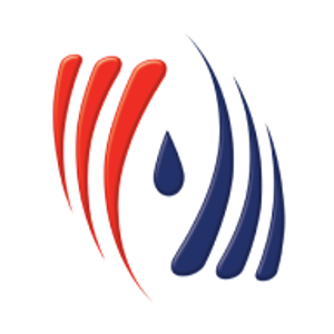 Dutch Enterprises - Logo