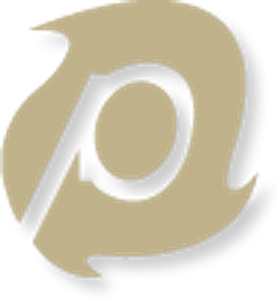 ONLY PRO Painters - Logo