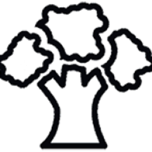 Hickory Asphalt Paving - Logo