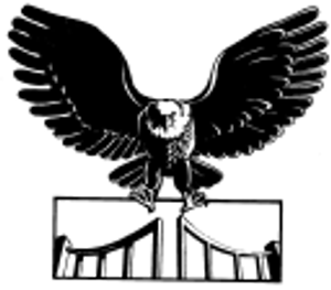 Eagle Access Supply Co - Logo