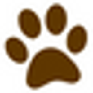 Delhi Pet Center