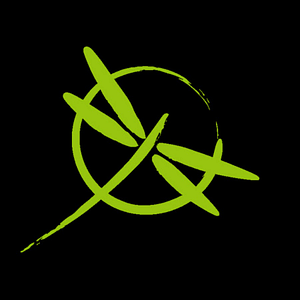 Dragonfly Martial Arts - Logo