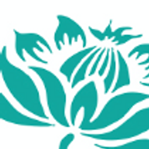 Las Vegas Laser Services - Logo