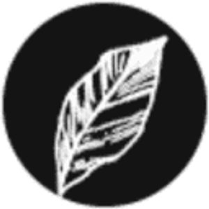 Radagast Creative - Logo