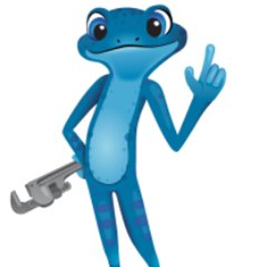 bluefrog Plumbing and Drain of Denver